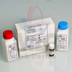 CREATININE Kinetic