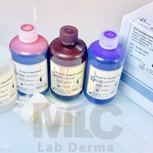 GRAMُ S STAIN