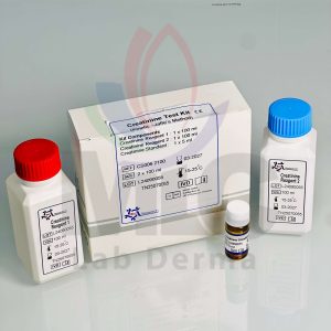 CREATININE Kinetic