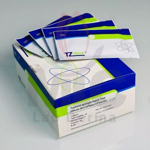 Typhoid IgG/IgM Rapid test 25 test