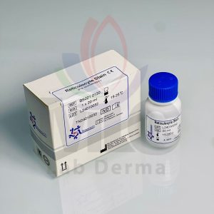 RETICULOCYTE STAIN