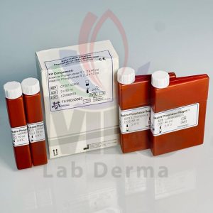 ALKALIN PHOSPHATASE KIT